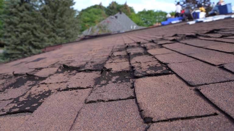 Fast & Reliable Emergency Roof Repairs in Vassar, MI