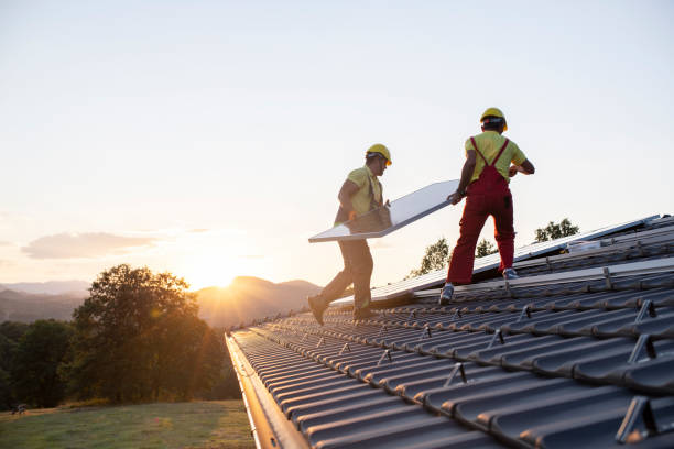 Best Roof Maintenance  in Vassar, MI