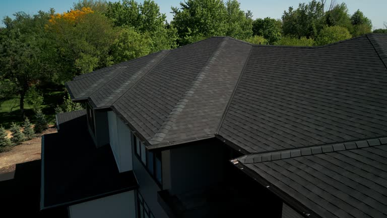 Best Storm Damage Roof Repair  in Vassar, MI