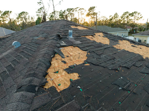 Best Asphalt Shingles Roofing  in Vassar, MI