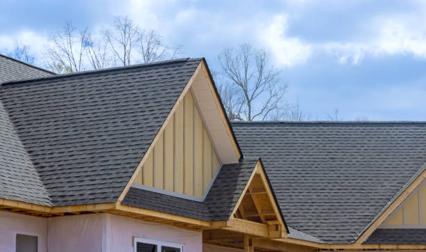 Best Green or Eco-Friendly Roofing Solutions  in Vassar, MI