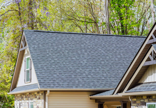 Best Slate Roofing  in Vassar, MI
