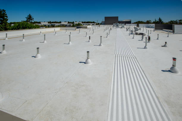 Best Green or Eco-Friendly Roofing Solutions  in Vassar, MI